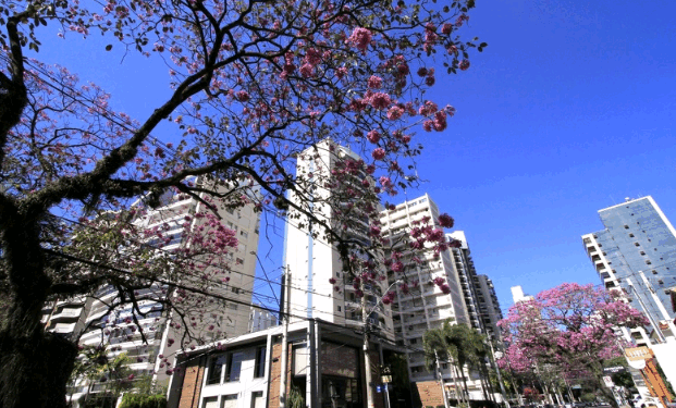 Campinas, a cada dia, se faz mais minha – por Kátia Camargo