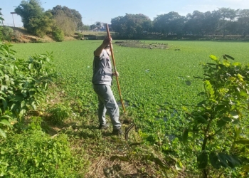 Bombeiros fazem buscas em lagoa de Hortolândia atrás de partes do corpo de jovem assassinada