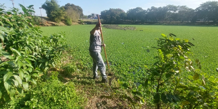 Bombeiros fazem buscas em lagoa de Hortolândia atrás de partes do corpo de jovem assassinada