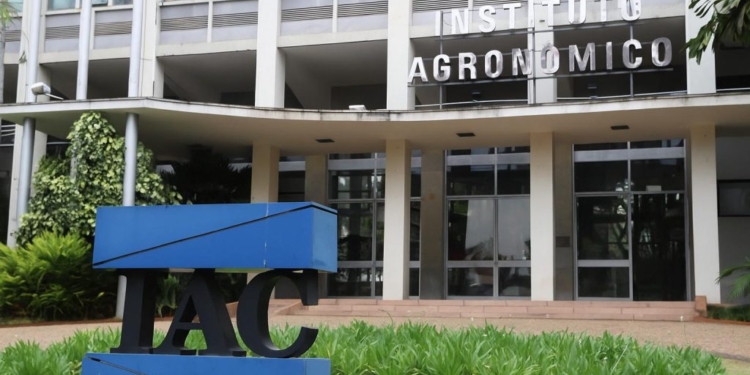 Instituto Agronômico de SP completa 138 anos com produtos inéditos 