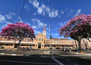 Um brinde à amizade e à coragem de Campinas – por José Pedro Martins