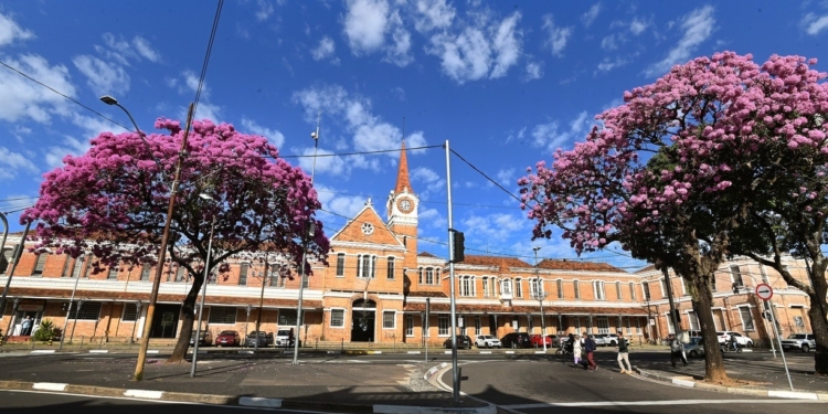 Um brinde à amizade e à coragem de Campinas – por José Pedro Martins