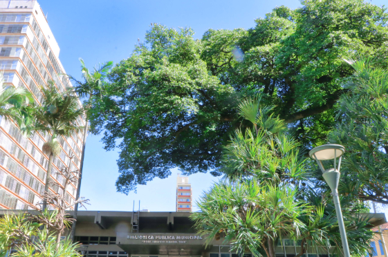 Escritor Fausto Antônio lança em Campinas livro ambientado em Cabo Verde