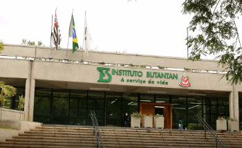 Butantan se prepara para testar vacina contra gripe aviária em humanos
