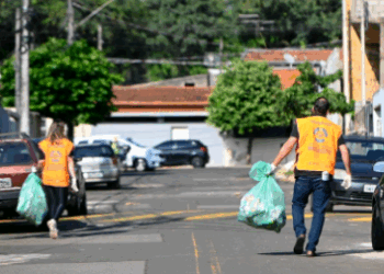 Saúde de Campinas reforça atividades contra dengue em 23 bairros; veja quais