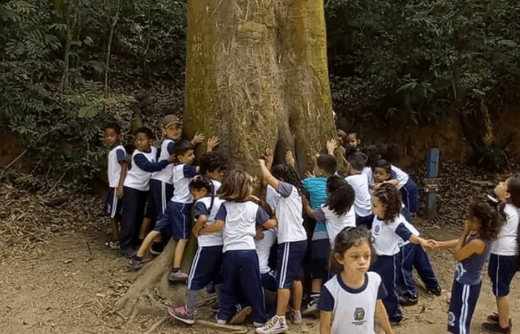 Curso pioneiro vai capacitar professor para abordar mudanças climáticas em sala de aula