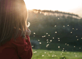 O compromisso que deve nos mover – por Luis Norberto Pascoal