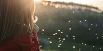 O compromisso que deve nos mover – por Luis Norberto Pascoal