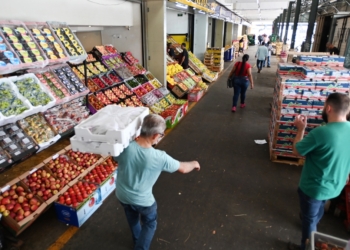 Ceasa Campinas registra queda de até 30% no preço das frutas