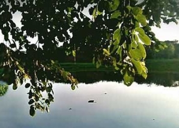 Jovem desaparecida é achada morta em lagoa de Hortolândia