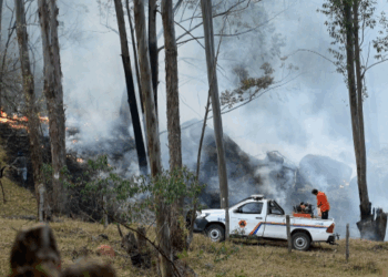 Região de Campinas está em estado de alerta para incêndios