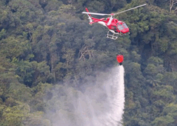 São Paulo tem menor número de focos de incêndio para o mês de junho em 26 anos