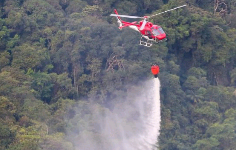 São Paulo tem menor número de focos de incêndio para o mês de junho em 26 anos