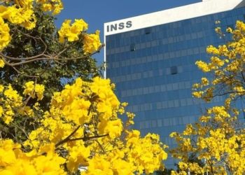 INSS: com mais de 114 mil adesões, SP lidera número de acordos de ressarcimento