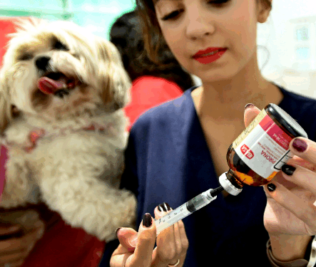 Consultórios Móveis atenderão neste sábado no Nova Europa e Vila Boa Vista