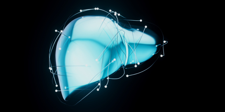 O que a menopausa tem a ver com gordura no fígado? Entenda essa relação