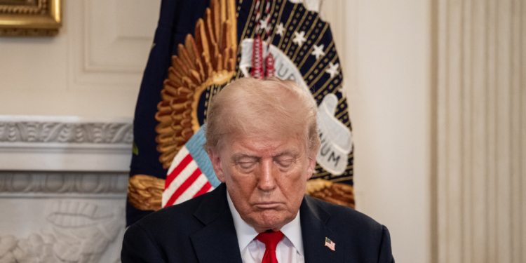 Brasil aciona OMC contra tarifaço dos EUA; Índia também é taxada em 50%