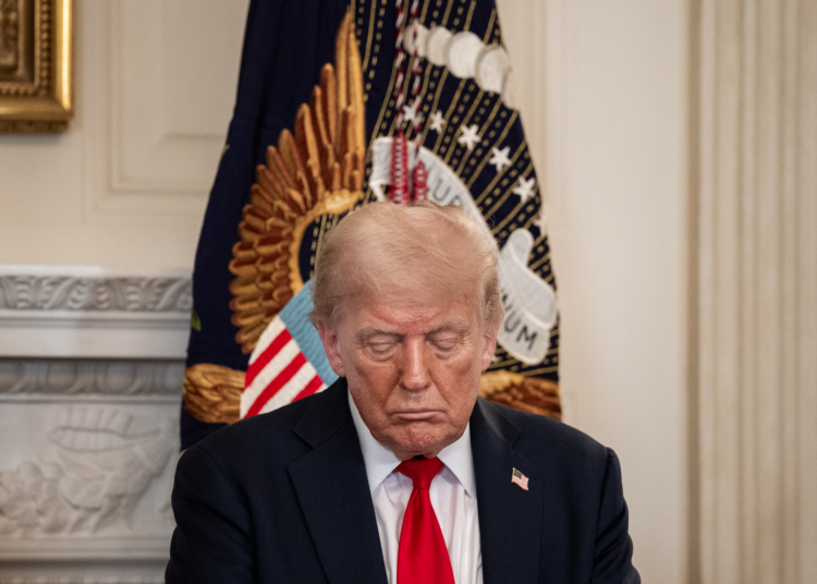 Brasil aciona OMC contra tarifaço dos EUA; Índia também é taxada em 50%