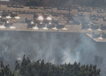 Fogo em mata urbana de Jaguariúna mobiliza equipes menos de 48 horas após megaincêndio