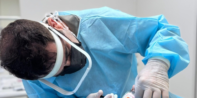 Morte de jovem após extração do siso acende alerta: especialista reforça importância da avaliação e cuidados