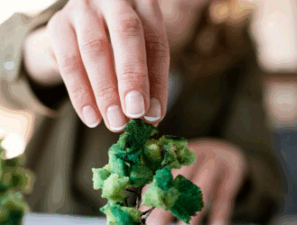 Artigo: Novo marco do licenciamento ambiental – por Renata Franco