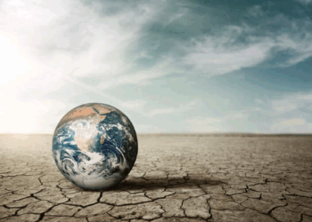 Alerta vermelho: o meio ambiente está entrando em colapso – por Maria Eduarda da Silva Lima