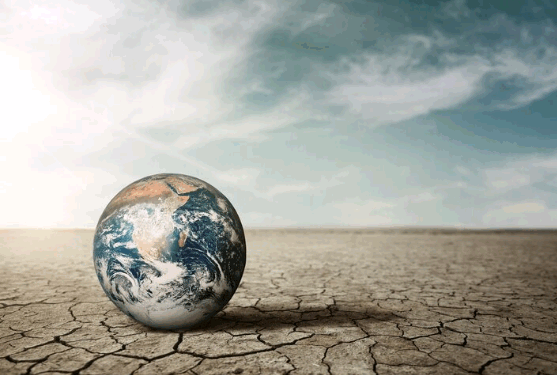 Alerta vermelho: o meio ambiente está entrando em colapso – por Maria Eduarda da Silva Lima