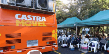 Agendamento para castração gratuita de cães e gatos no Parque Floresta começa nesta terça