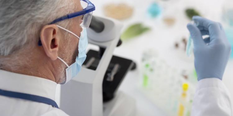 Campinas terá mutirão com orientação jurídica e exames de DNA gratuitos; veja como se inscrever