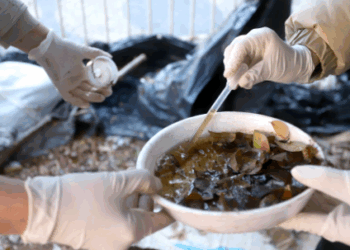 Saúde de Campinas reforça ações contra arboviroses no Taquaral e mais 26 bairros