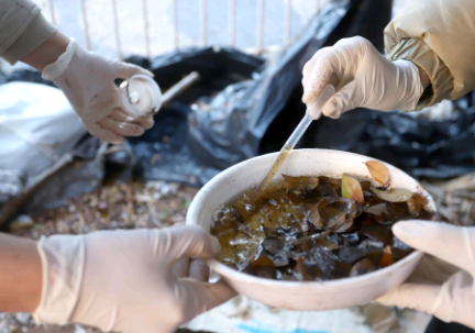 Saúde de Campinas reforça ações contra arboviroses no Taquaral e mais 26 bairros