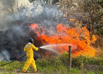 RMC se mobiliza para combater incêndio de grandes proporções em Jaguariúna; veja imagens