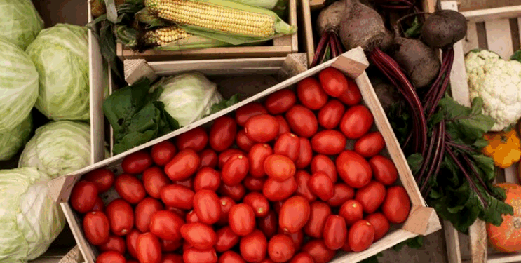 Artigo: Sucesso na produção de hortifrútis é baseado em quatro pilares – por Renato Francischelli