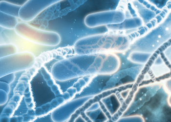 Vigilância Sanitária de Amparo identifica bactéria resistente na UTI da Santa Casa Anna Cintra