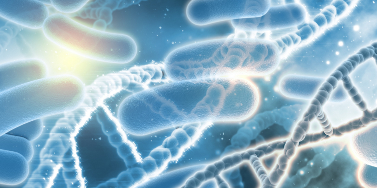 Vigilância Sanitária de Amparo identifica bactéria resistente na UTI da Santa Casa Anna Cintra