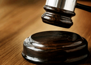 Artigo: Como a ordem de preferência da penhora e o princípio da menor onerosidade protegem o devedor nas ações de execução – por Juliana Teixeira de Campos