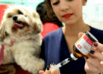 Consultórios Móveis Veterinários atendem neste sábado em Sousas e Vila Boa Vista