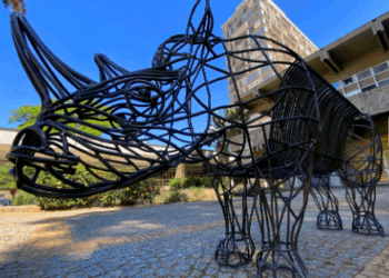 Escultura de rinoceronte instalada em frente ao MACC celebra 60 anos do museu em Campinas