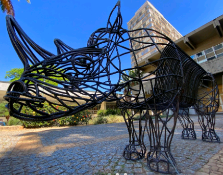 Escultura de rinoceronte instalada em frente ao MACC celebra 60 anos do museu em Campinas