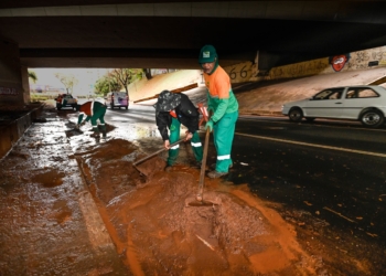 Chuva em Campinas derruba 50 árvores e prejudica serviços de saúde