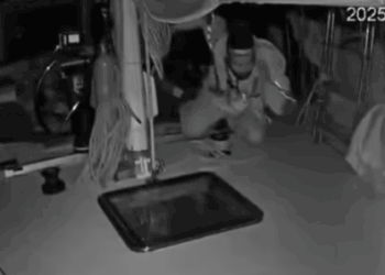 Vereadora de Campinas detalha novo ataque de drones à flotilha que leva ajuda à Gaza