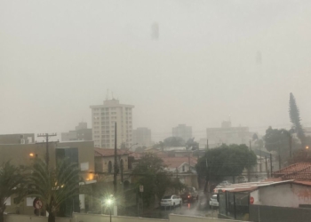 Chuva na região central de Campinas afeta Mercadão e Mário Gattinho