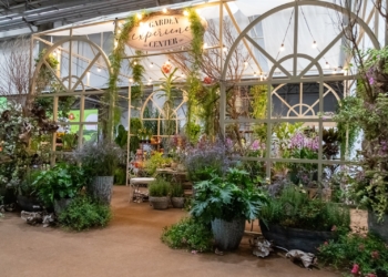 Veiling Market traz novidades e tendências em flores e plantas para a Primavera, Finados e Natal