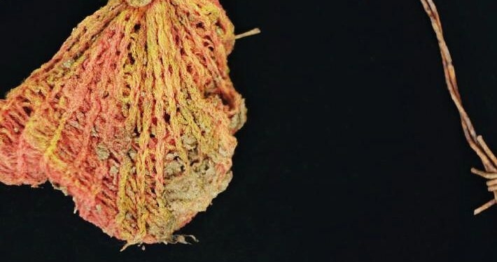 Mostra da fotógrafa Suzana Barretto é aberta em Campinas