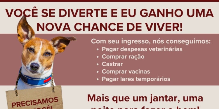 ONG ViraLata ViraCasa promove jantar dançante solidário em Valinhos