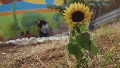 MIS Campinas exibe filme ‘Sol de Setembro’ nesta quarta-feira