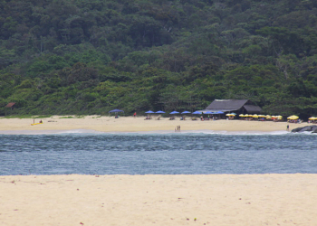 Explore ilhas dignas de cinema para desfrutar, mergulhar e se desconectar em Ubatuba