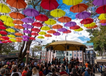 Expoflora 2025 espera receber 300 mil visitantes com flores, cultura e gastronomia em Holambra