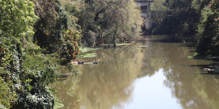 Rio Jaguari registra pouco mais de 1 metro; fornecimento segue estável garante Saaeja