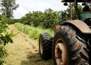 Agro paulista tem superávit de mais de US$ 14 bilhões no ano
